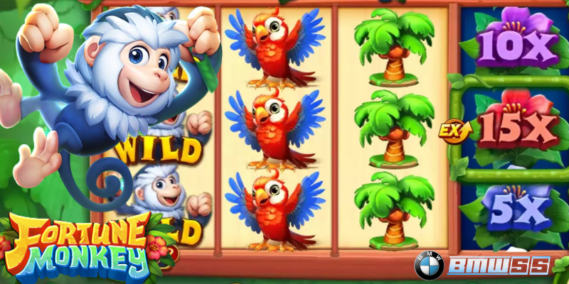 fortune monkey