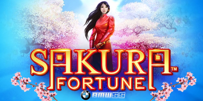 sakura fortune slot bmw55